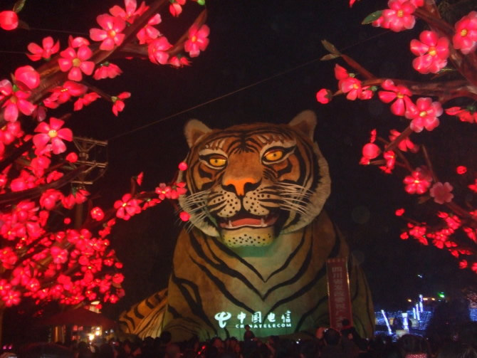 2010自贡国际恐龙灯会-1